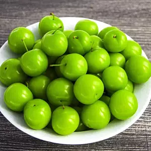 ალუჩა